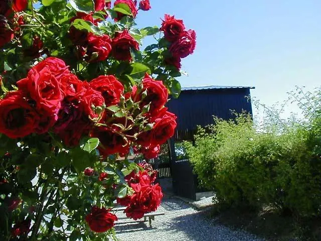Vejskraekgarden * Fæbæk